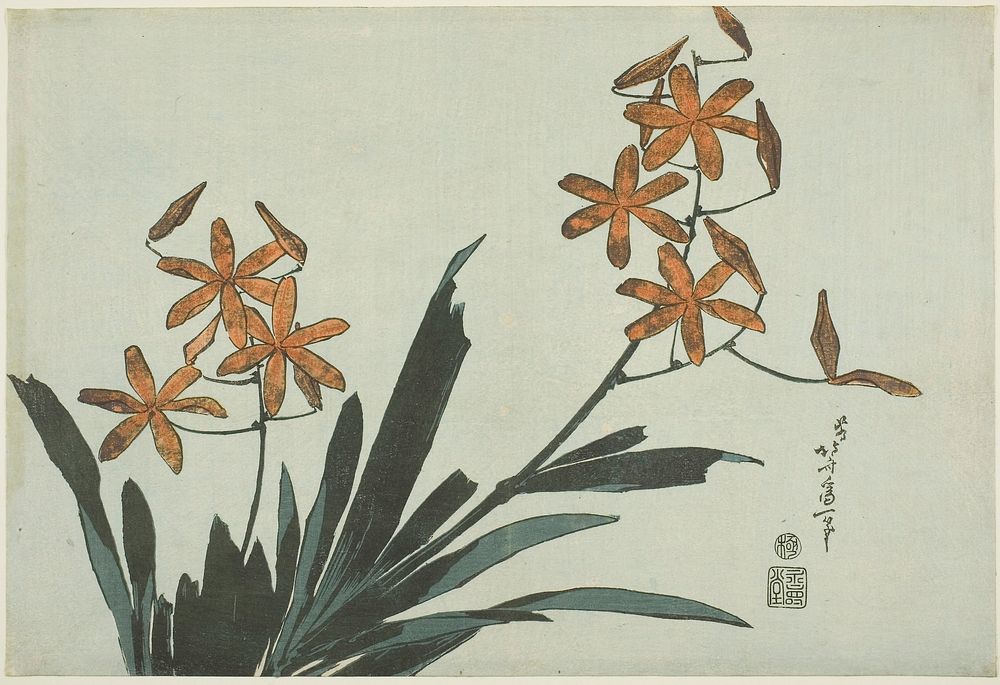 Hokusai's Orange Orchids. Original from The Art Institute of Chicago.
