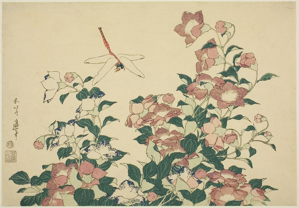 Hokusai's dragonfly and bellflower. Original from The Art Institute of Chicago.