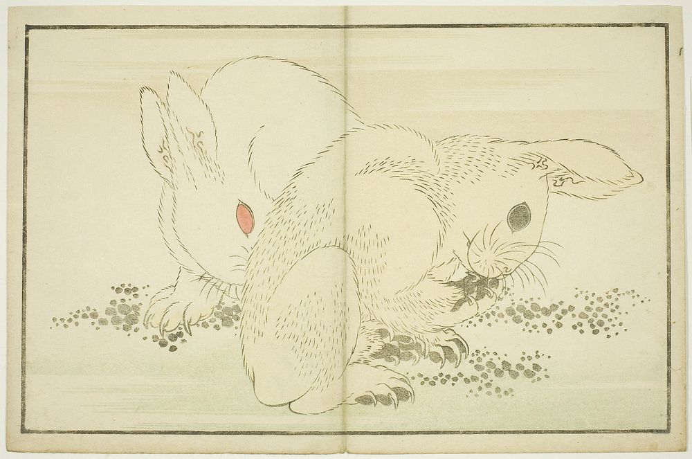 Hokusai's Two Rabbits, from The Picture Book of Realistic Paintings of Hokusai (Hokusai shashin gafu) (1814). Original from…