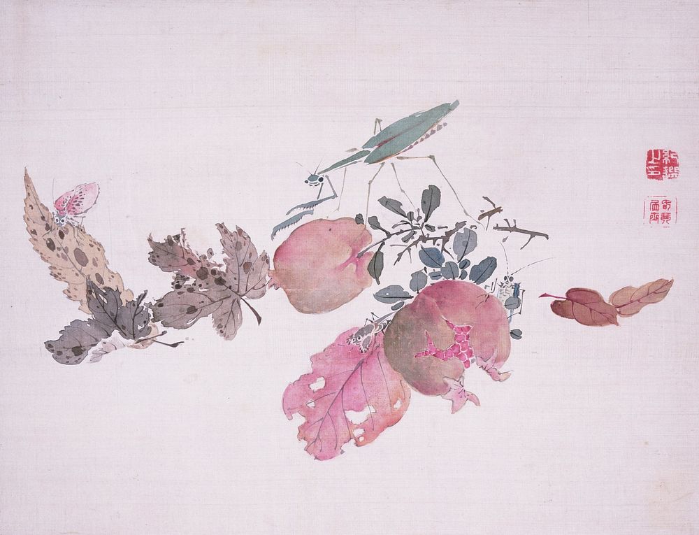 Pomegranate and Insects (1834) painting in high resolution by Urakami Shunkin.  Original from the Minneapolis Institute of…