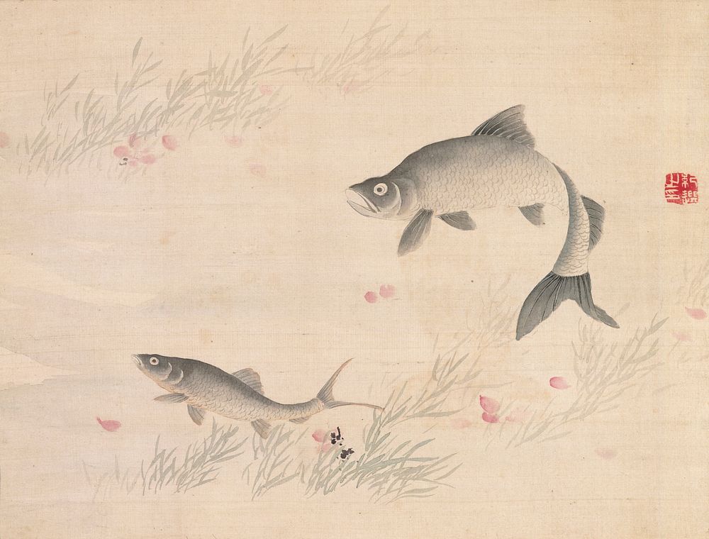 Studies from Nature: Plants, Fish, and Birds (Cherry Blossoms with Fish) during first half 19th century painting in high…