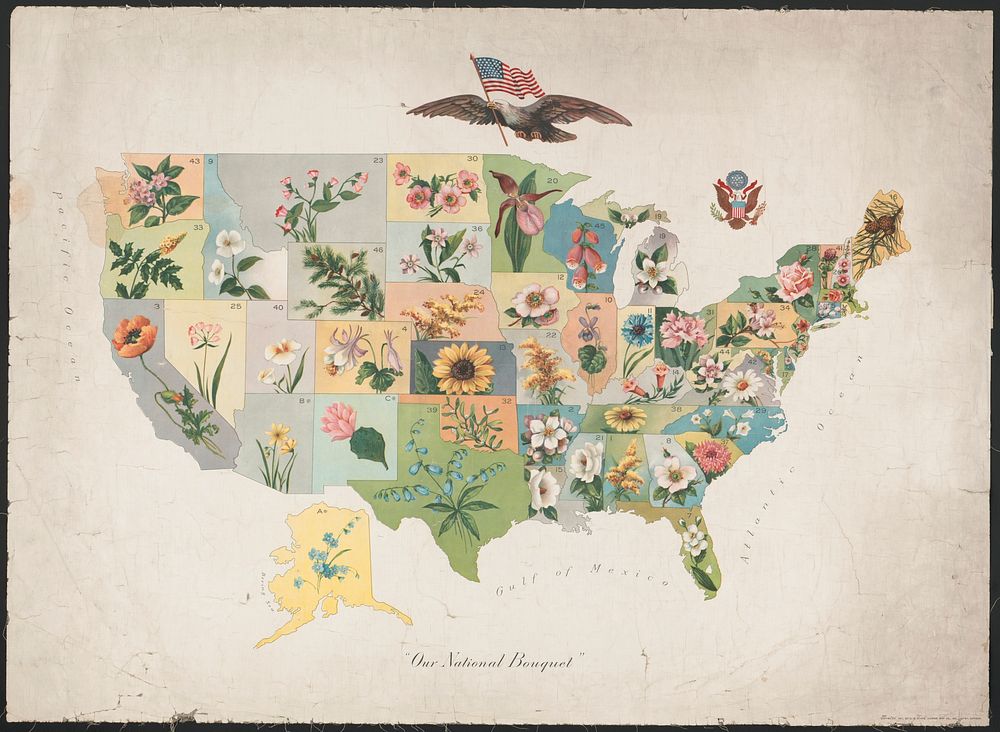 "Our National Bouquet" (1911). Original from the Library of Congress.