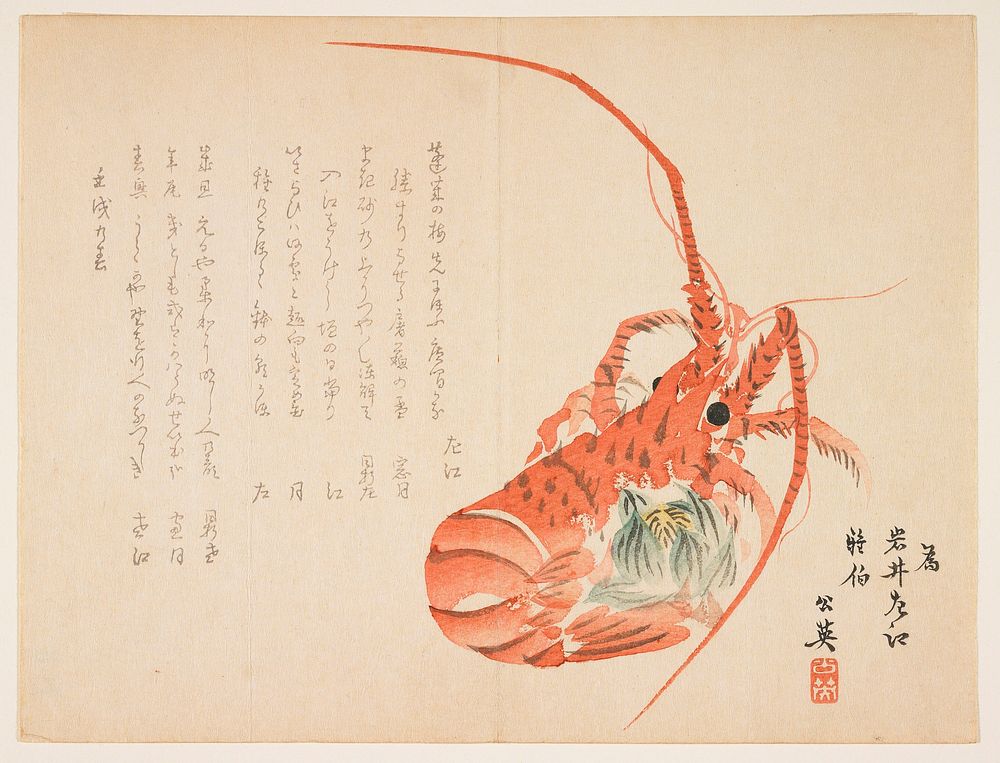 Lobster and common hepatica (1862) print in high resolution by Asai Koei. Original from the Minneapolis Institute of Art.