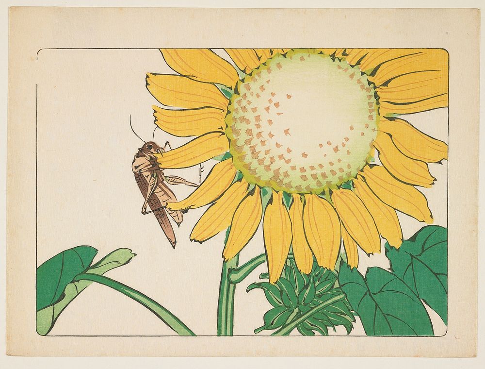 Grasshopper and sunflower (c. 1877) print in high resolution by Shibata Zeshin. Original from the Minneapolis Institute of…