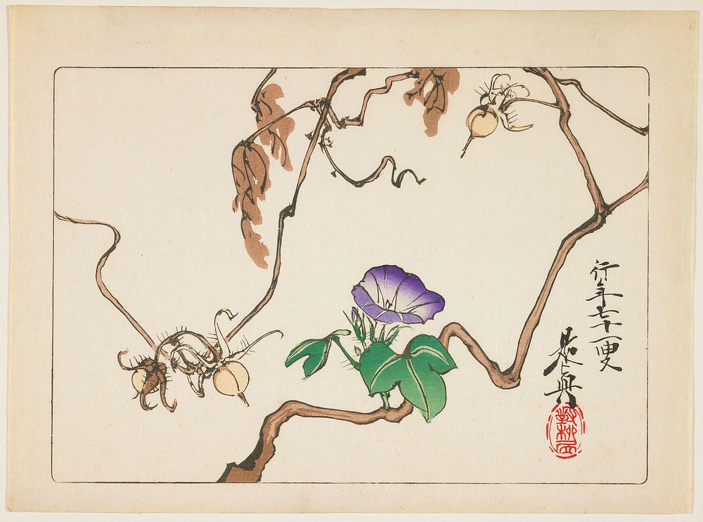 Vine and Seeds of Morning Glory (1877) in high resolution by Shibata Zeshin.  Original from the Minneapolis Institute of Art.