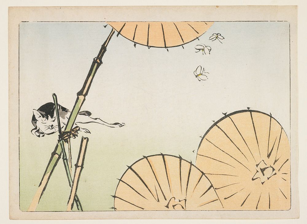 Bamboo, umbrellas, a cat and butterflies (c. 1877) print in high resolution by Shibata Zeshin.  Original from the…