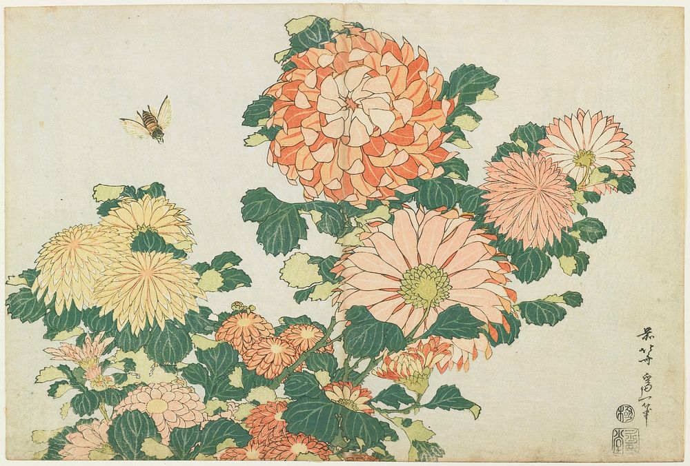 Chrysanthemums and Horsefly (ca.1833&ndash;1834) in high resolution by Katsushika Hokusai. Original from The Minneapolis…