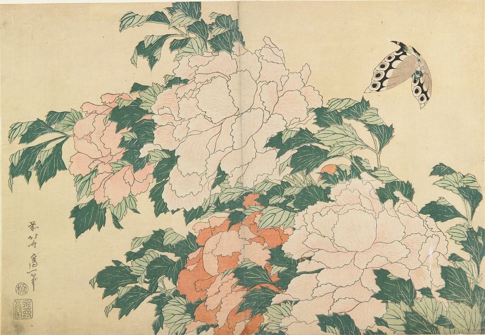 Peonies and Butterfly (ca.1833&ndash;1834) in high resolution by Katsushika Hokusai. Original from The Minneapolis Institute…