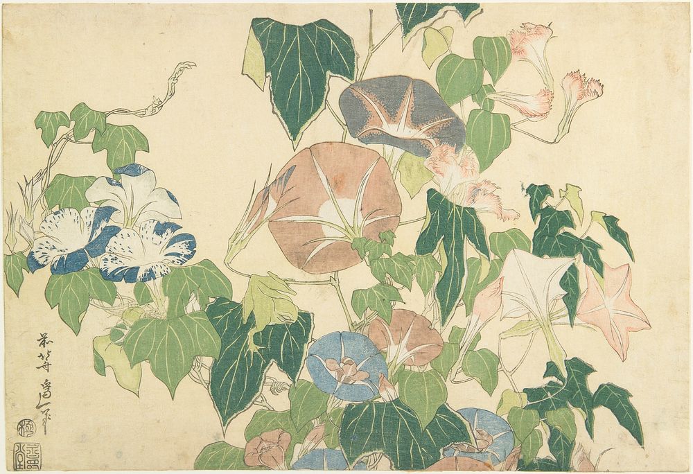 Morning Glories and Tree Frog (ca.1833&ndash;1834) in high resolution by Katsushika Hokusai. Original from The Minneapolis…