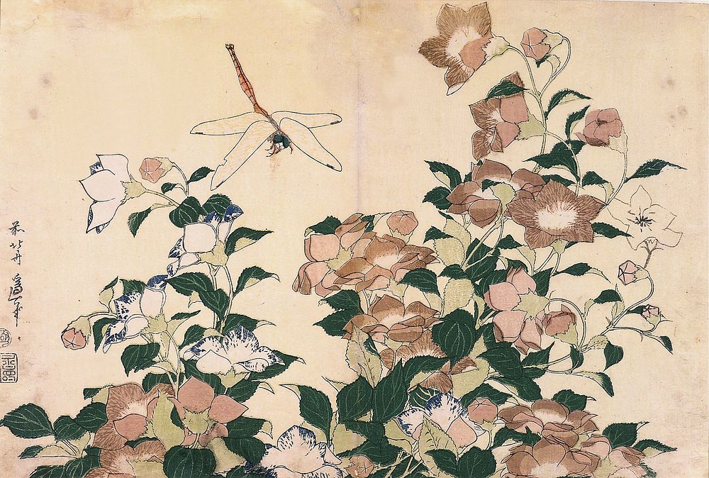 Bellflower and Dragonfly (ca.1833&ndash;1834) in high resolution by Katsushika Hokusai. Original from The Minneapolis…