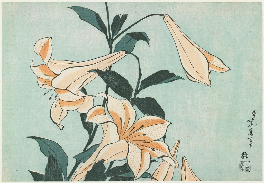 Lilies (ca.1833&ndash;1834) in high resolution by Katsushika Hokusai. Original from The Minneapolis Institute of Art.…