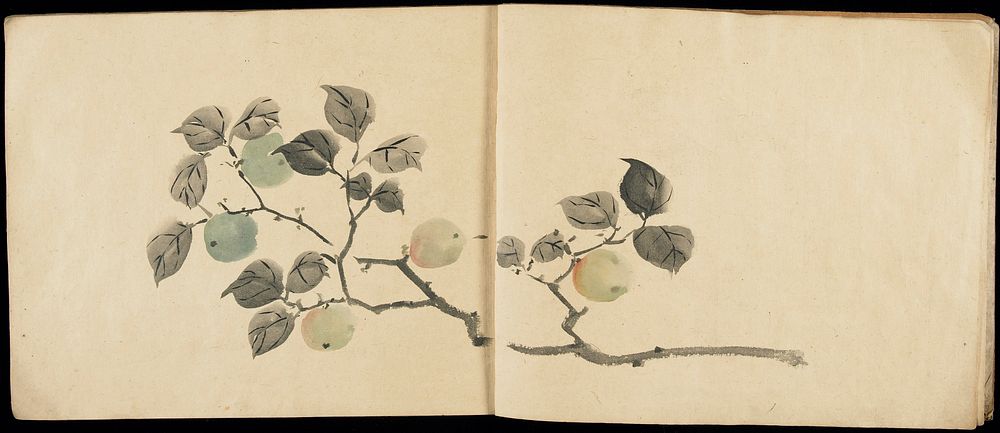 Sketchbook (1864) painting in high resolution by Matsumoto Kozan. Original from the Minneapolis Institute of Art.