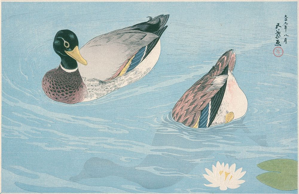 Ducks (1920) print in high resolution by Goyō Hashiguchi.  