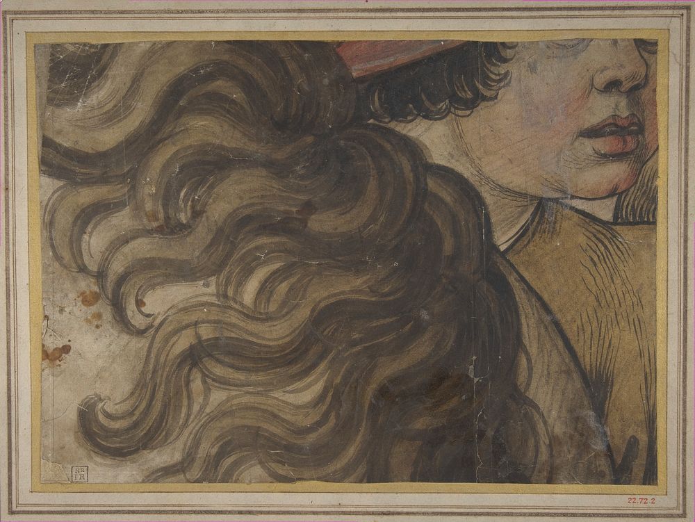 Head of a boy and section of a horse's mane, School of Raphael (Raffaello Sanzio or Santi)