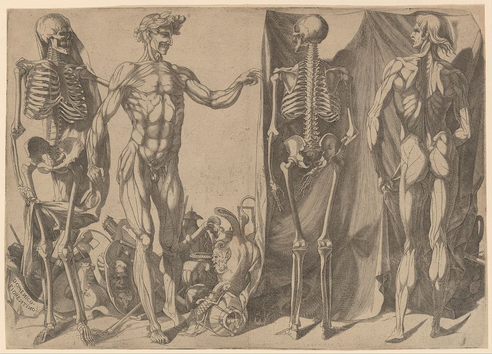 Two Flayed Men and Their Skeletons by Domenico del Barbiere