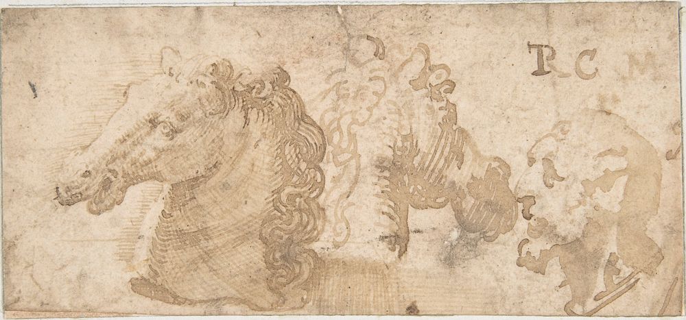 Two Views of a Horse's Head; the Head of a Bearded Man in Profile, Anonymous, Italian, 16th century