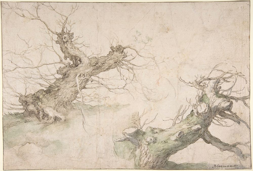 Studies of Two Pollard Willows; Verso: Wide Landscape Prospect by Abraham Bloemaert