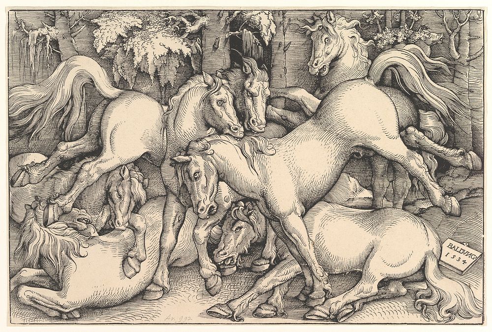 Group of Seven Horses by Hans Baldung (called Hans Baldung Grien)