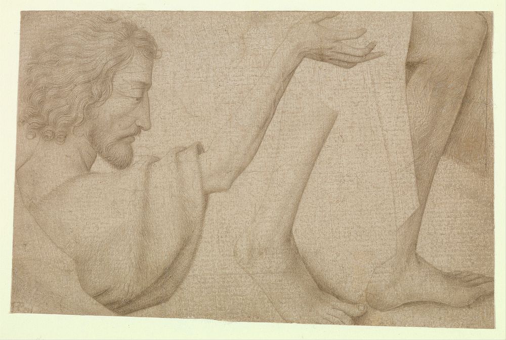 Studies of Saint John the Baptist 