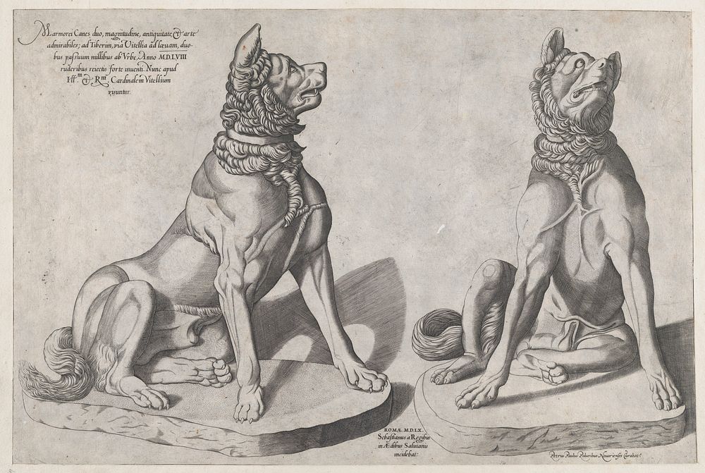 Speculum Romanae Magnificentiae: Two Dogs by Sebastiano di Re