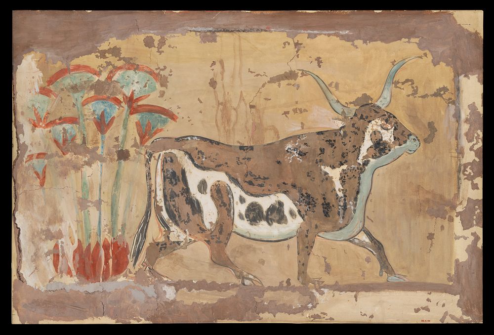 Bull in a Papyrus Swamp, Palace of Amenhotep III by William J. Palmer-Jones