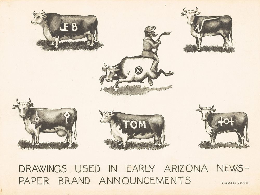 Newspaper Brand Announcements (ca. 1942) drawing in high resolution by Elizabeth Johnson.  