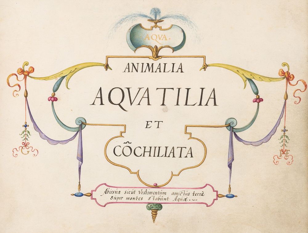 Title Page: Animalia Aqvatilia et Cochiliata (c. 1575-1580) painting in high resolution by Joris Hoefnagel.  