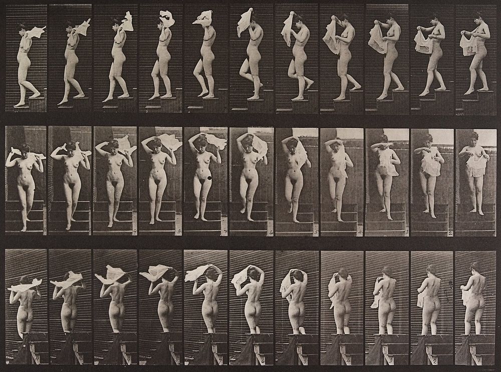 Animal Locomotion Plate 133 (1887) photograph in high resolution by Eadweard Muybridge.  