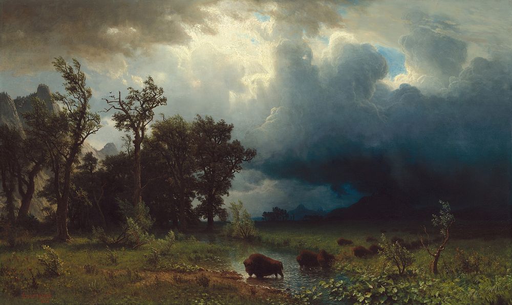 Buffalo Trail: The Impending Storm (1869) by Albert Bierstadt.  