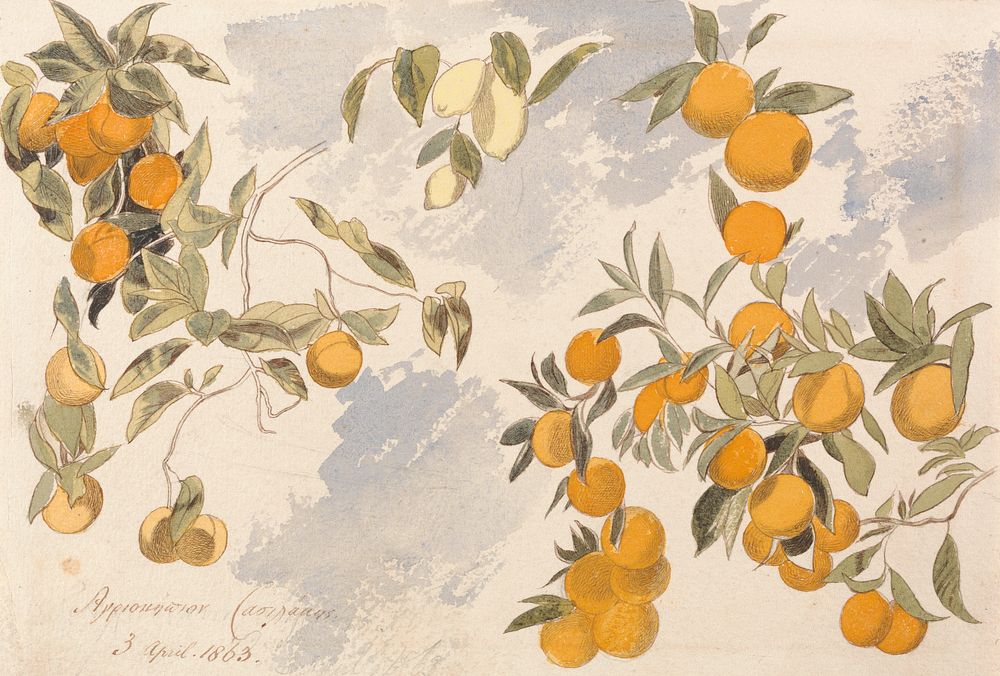 Fruit trees (1863) painting in high resolution by Edward Lear.  