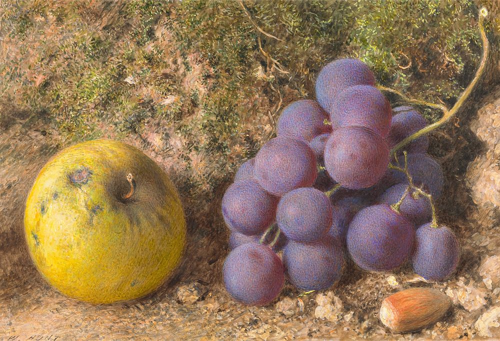 Apple, Grapes and a Cob-Nut (ca. 1850) painting in high resolution by William Henry Hunt.  