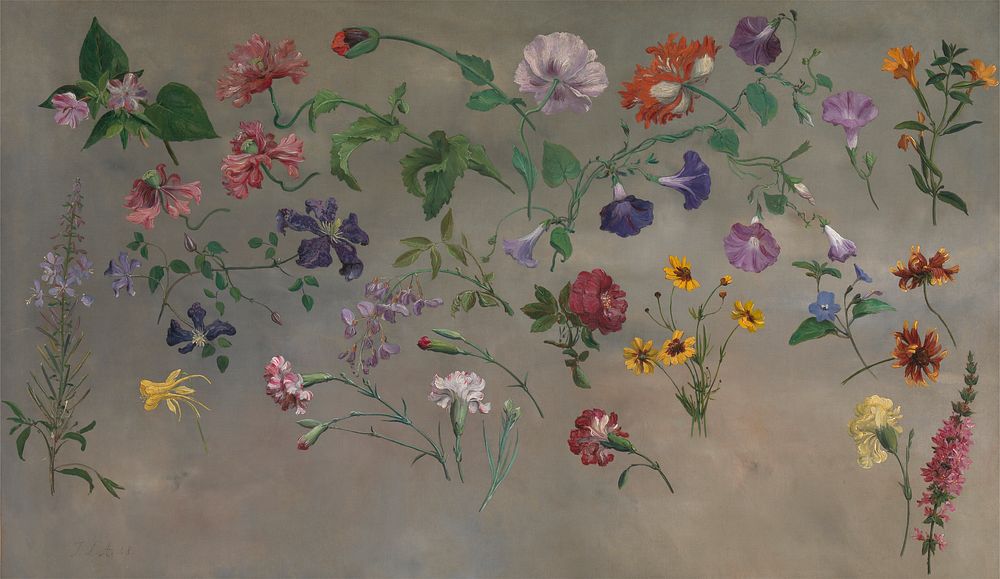 Studies of Flowers (1848) painting in high resolution by Jacques&ndash;Laurent Agasse.  