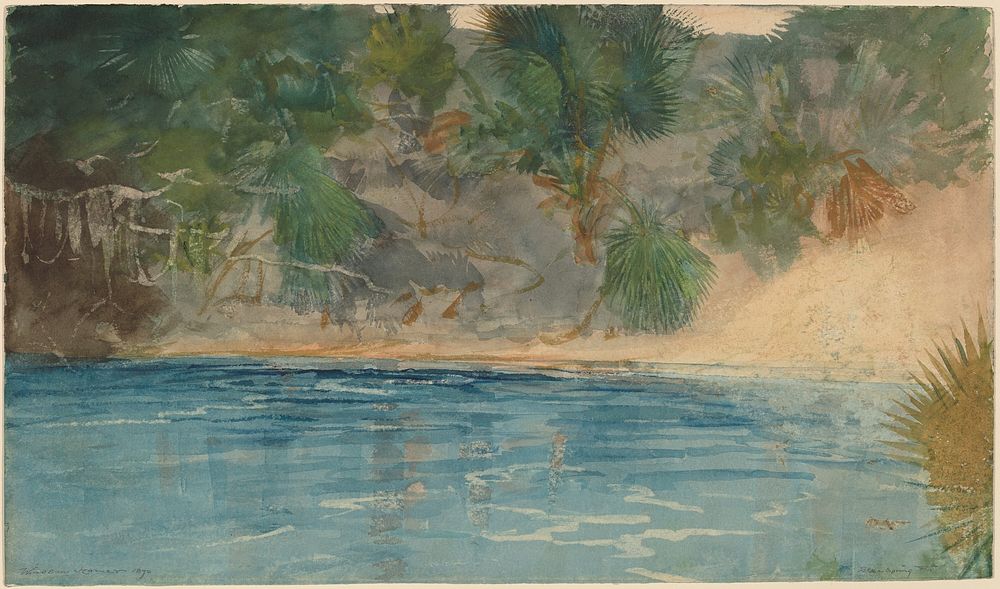 Blue Spring, Florida (1890) by Winslow Homer.  
