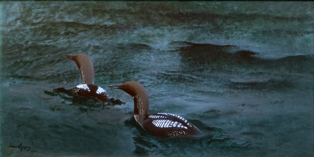 Black-throated Divers (1901) painting in high resolution by Bruno Liljefors. Original from The Thiel Gallery. 