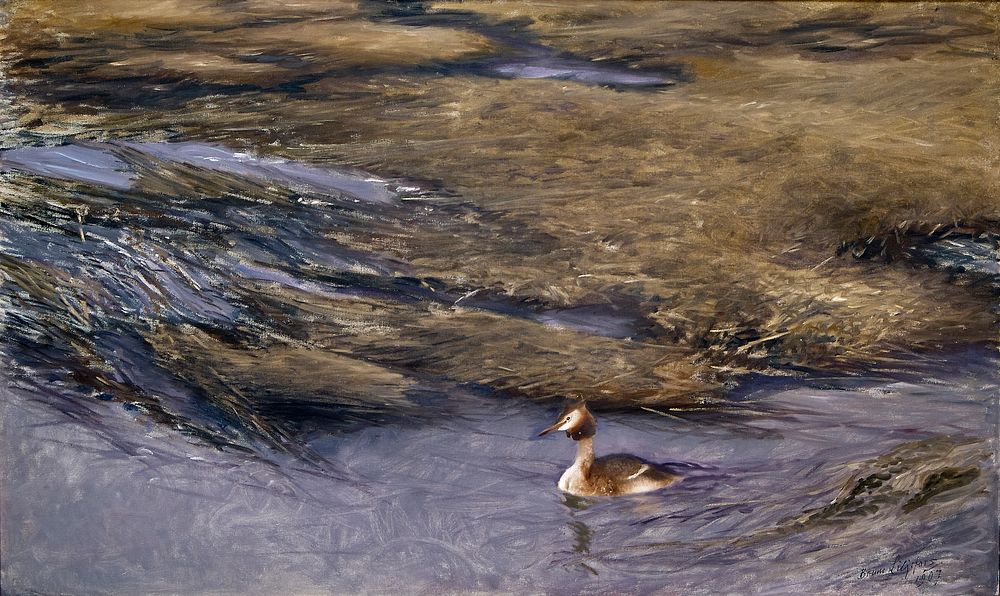 Grebe (1907) painting in high resolution by Bruno Liljefors. Original from The Thiel Gallery. 