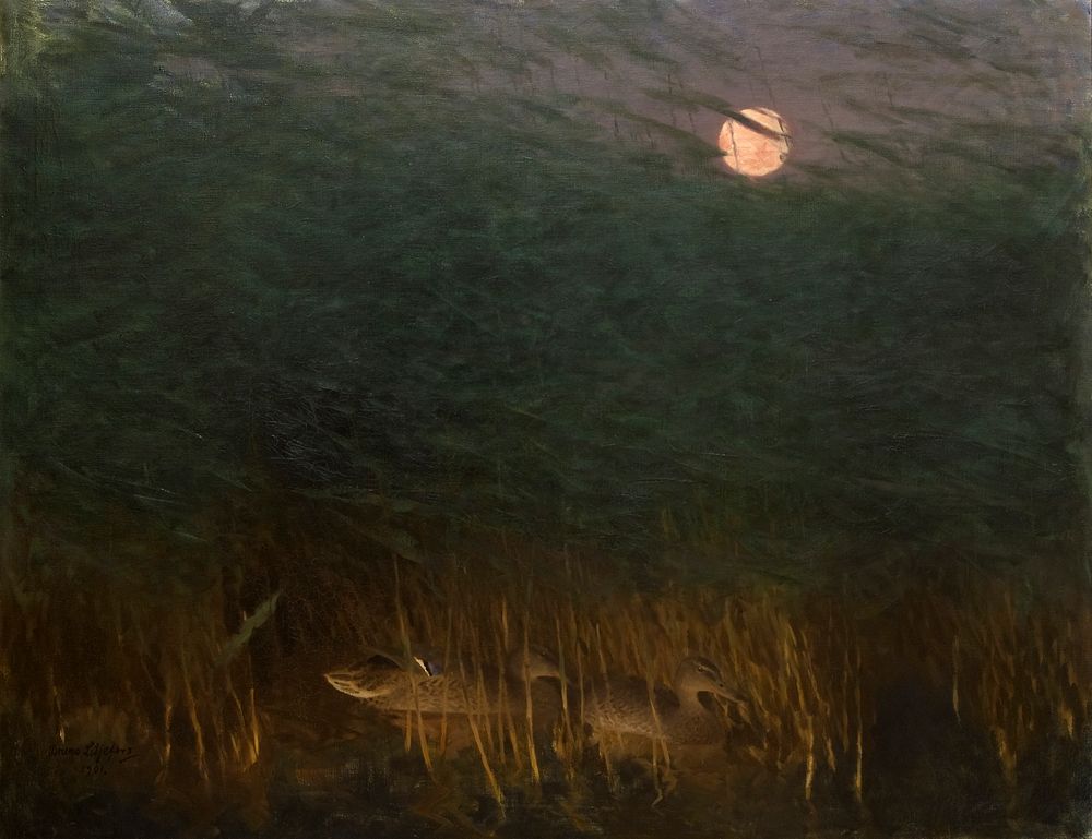 Nocturnal Mood with Wild Ducks (1901) painting in high resolution by Bruno Liljefors . Original from The Thiel Gallery. 