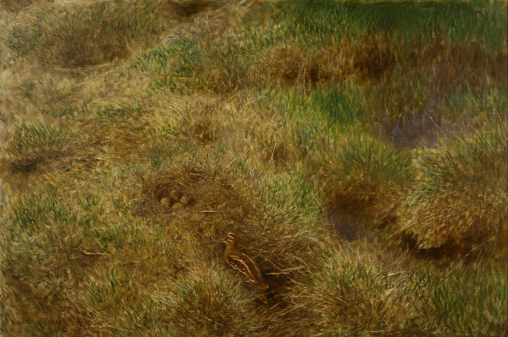 Snipe's Nest (1902) painting in high resolution by Bruno Liljefors . Original from The Thiel Gallery. 