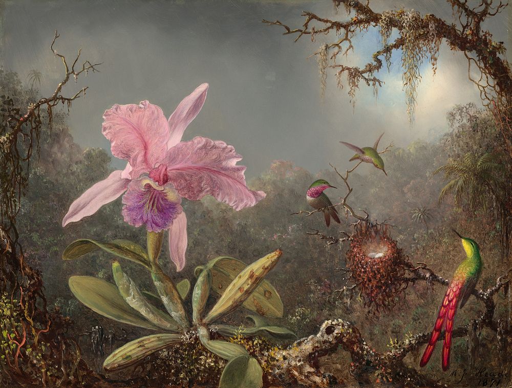 Cattleya Orchid and Three Hummingbirds (1871) by Martin Johnson Heade.  