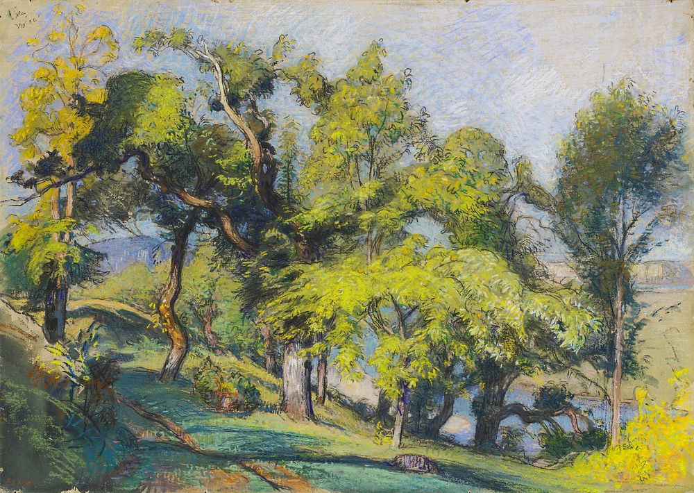 Chestnut Trees above a River (ca.1900) by Auguste Lepère.  