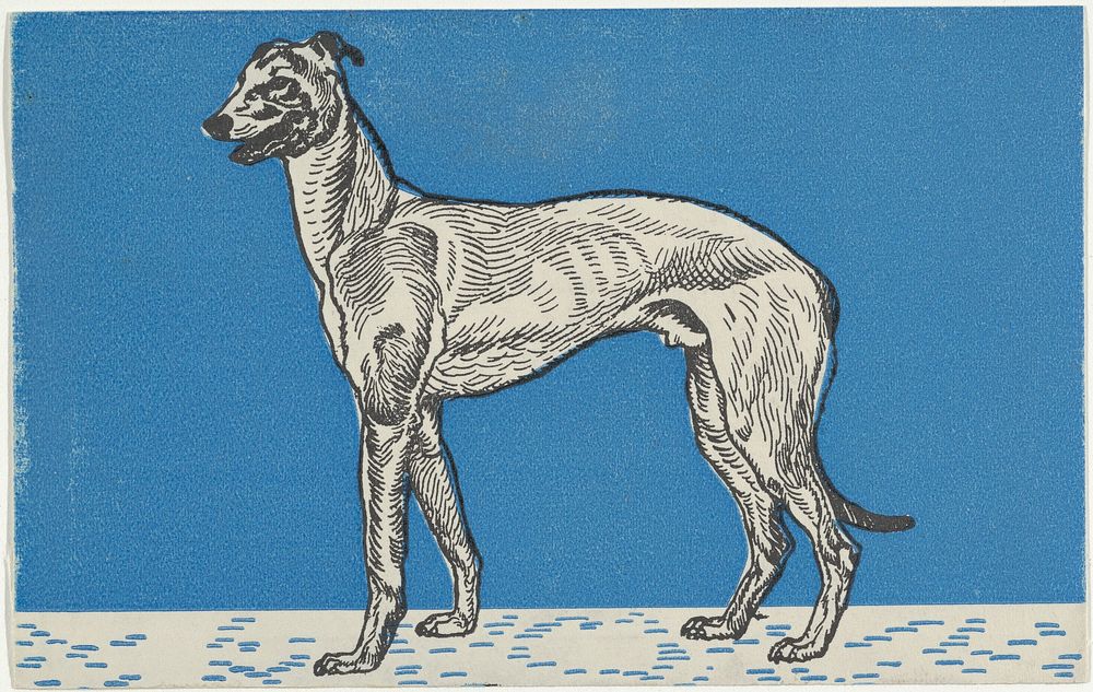 Greyhound (1912) print in high resolution by Moriz Jung.  