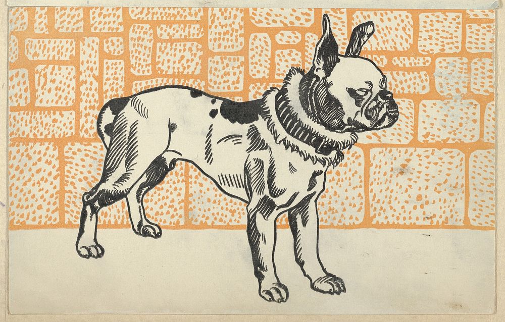 Pitbull Terrier (1912) print in high resolution by Moriz Jung.  