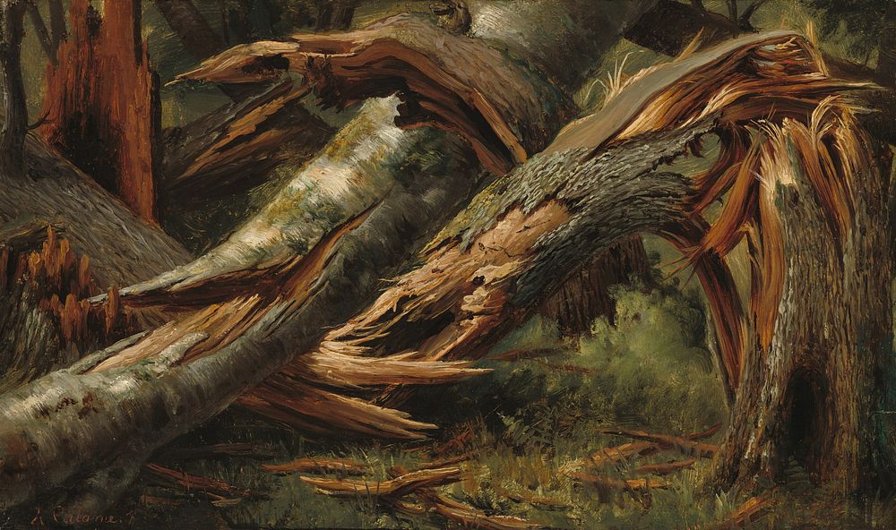 Fallen Tree (1839&ndash;1845) by Alexandre Calame.  