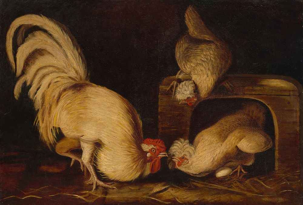 Farmyard Fowls (ca. 1827) painting in high resolution by John James Audubon. 