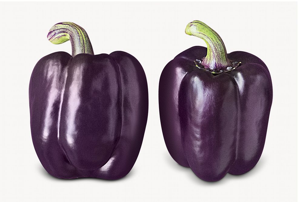 Purple bell peppers image, isolated on white