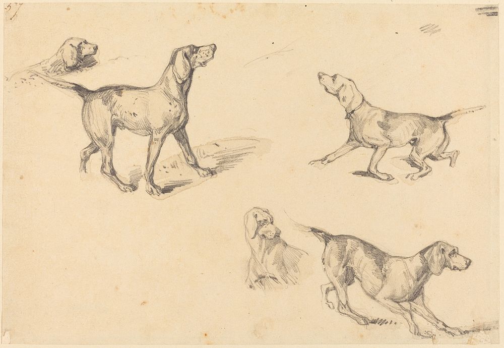 Five Studies of a French Pointer (1825&ndash;1826) by Richard Parkes Bonington.  