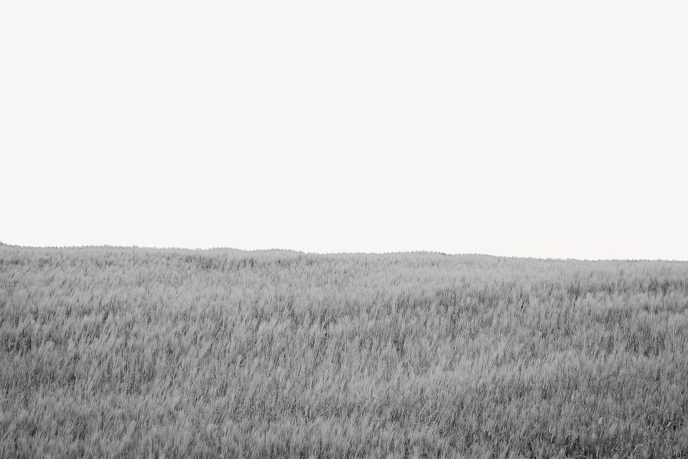 Grass field border collage element Premium PSD rawpixel