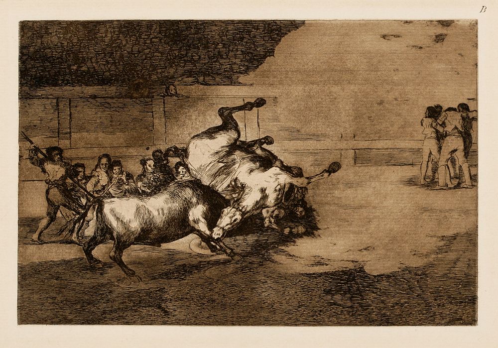 Villin härän onneton raivo, 35 b, 1815 - 1816 by Francisco Goya