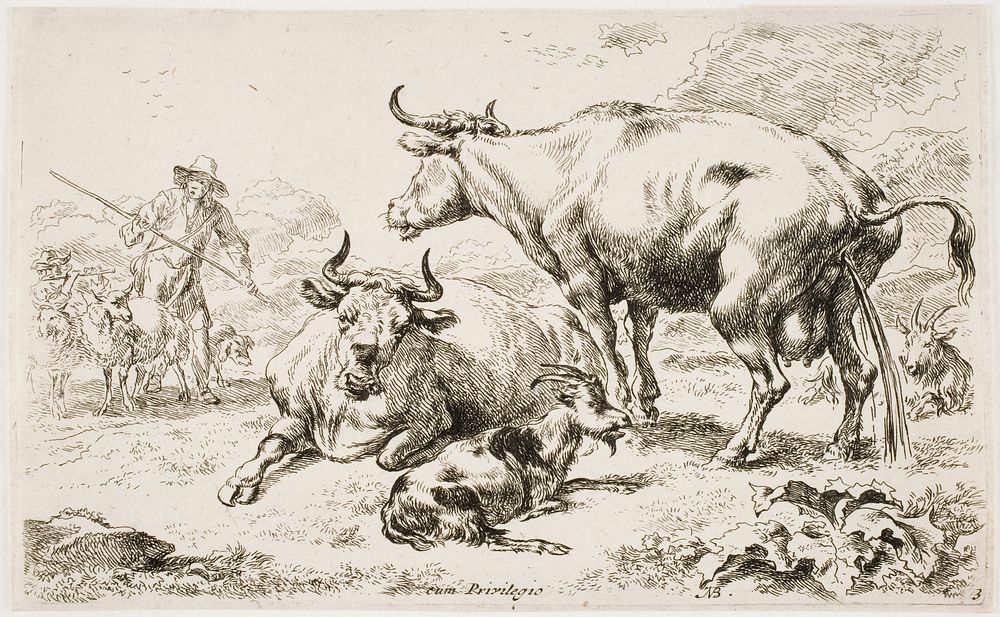 Virtsaava lehmä (la vache couchée près de la vache qui pisse