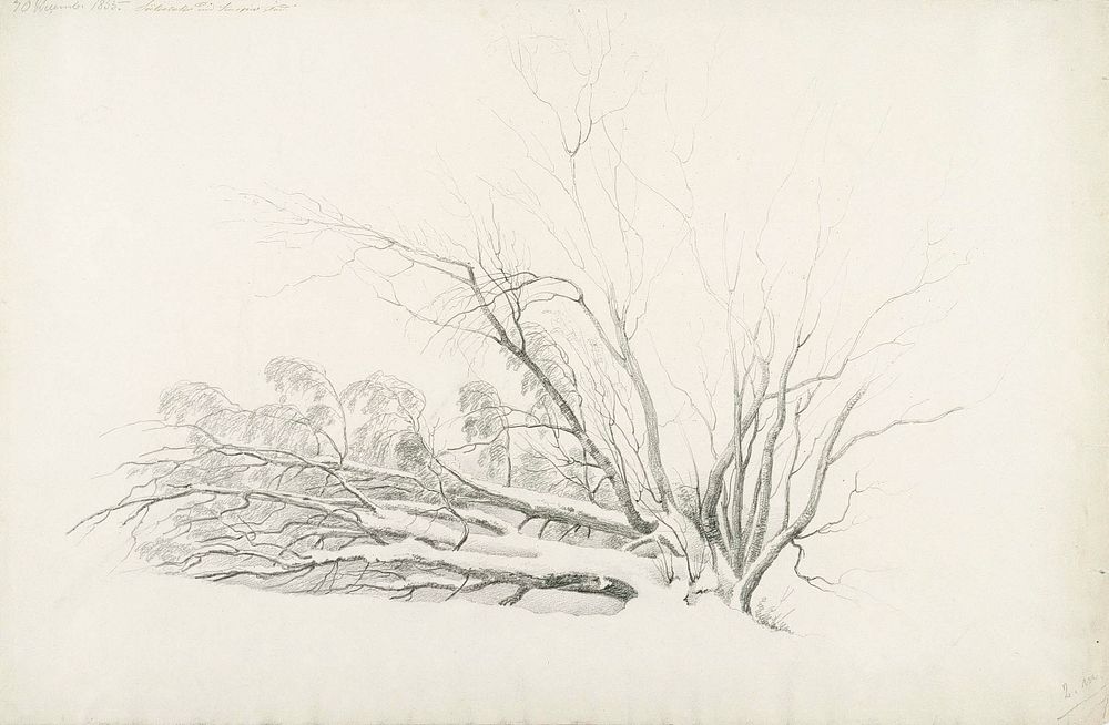 Lumista ryteikköä, 1855 by Magnus von Wright