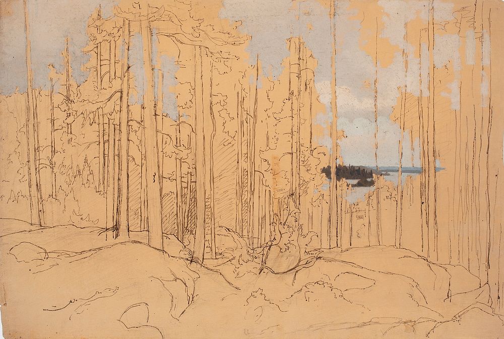 Männikkö lähellä järvenrantaa ; aloitettu öljymaalaus, 1857